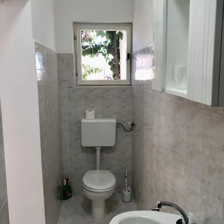 Sini ماكارسكا