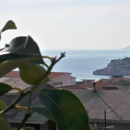Sini Makarska