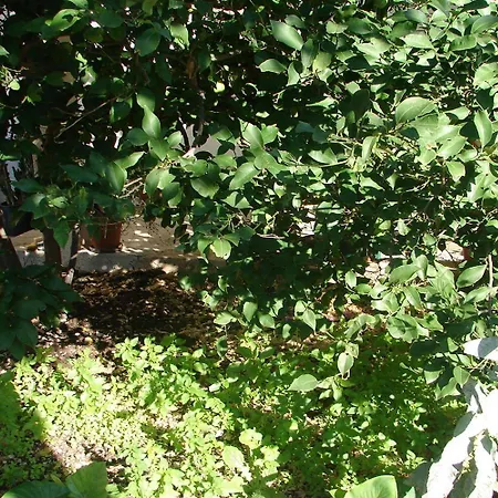 Sini Апартаменты Макарска