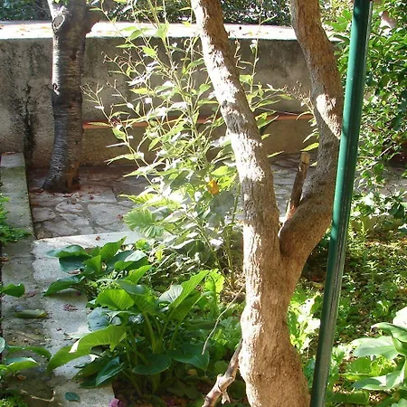 Apartment Sini *