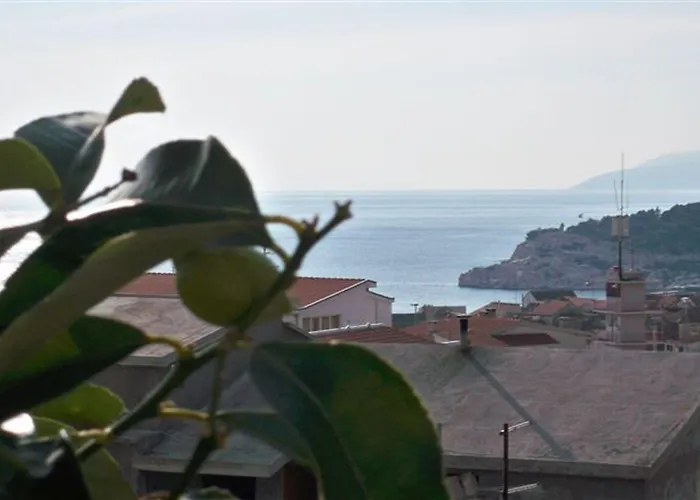 Sini Макарска