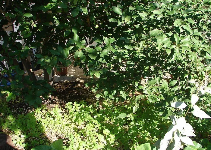 Sini Апартаменты Макарска